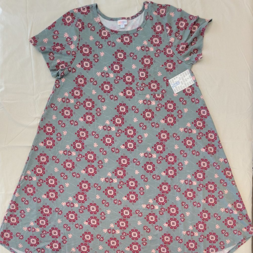 LuLaRoe Carly dress - XLarge